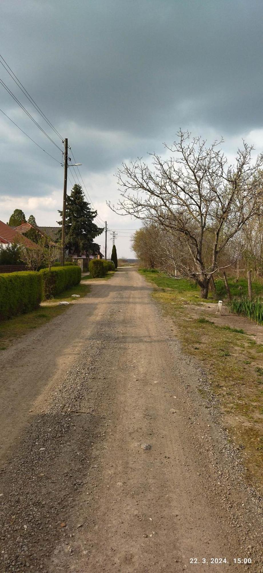 Palić Apartman Dve Lipe מראה חיצוני תמונה