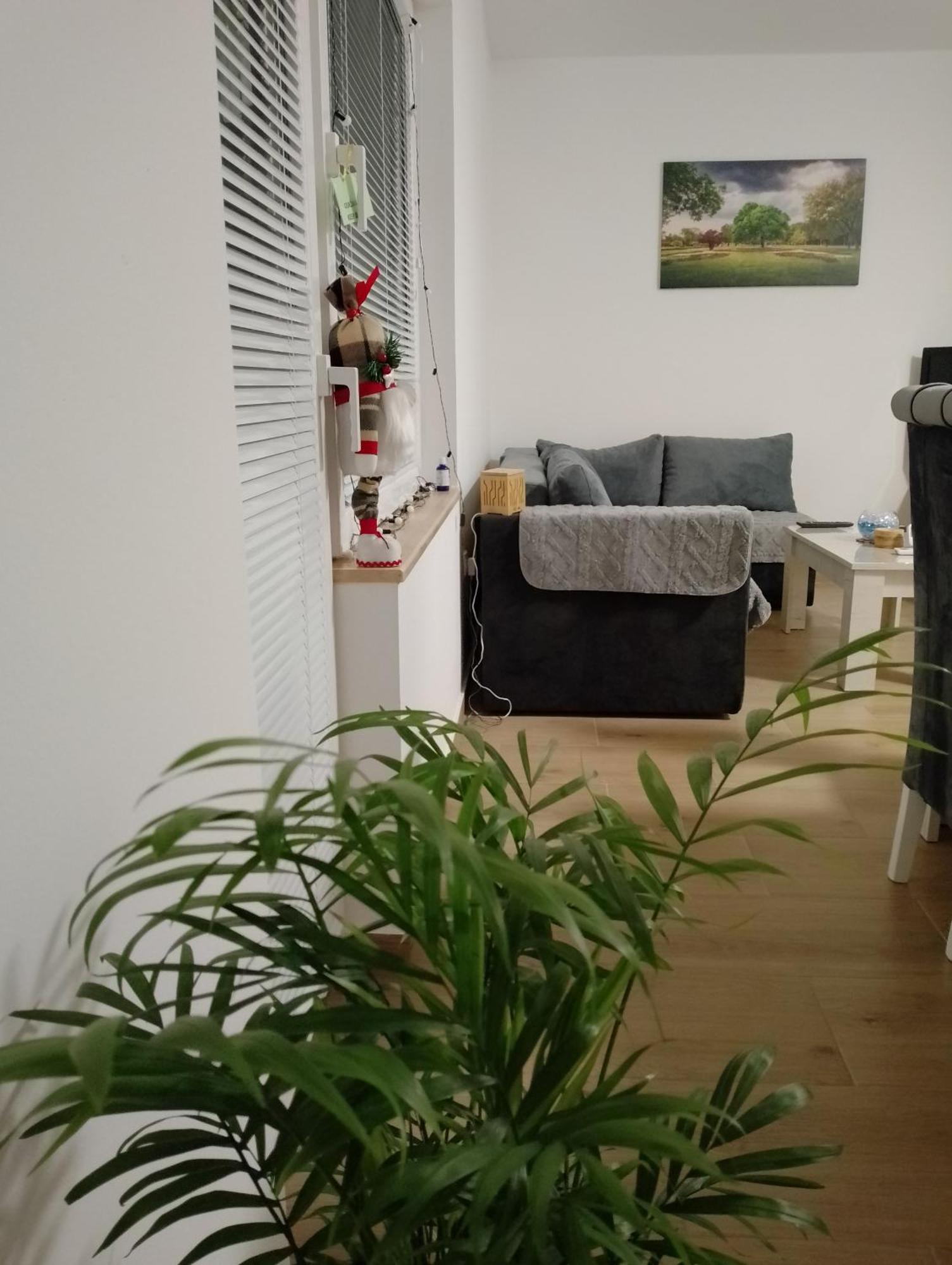 Palić Apartman Dve Lipe מראה חיצוני תמונה